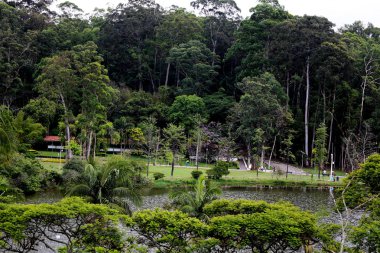 Lake park carmo sao paulo Brezilya