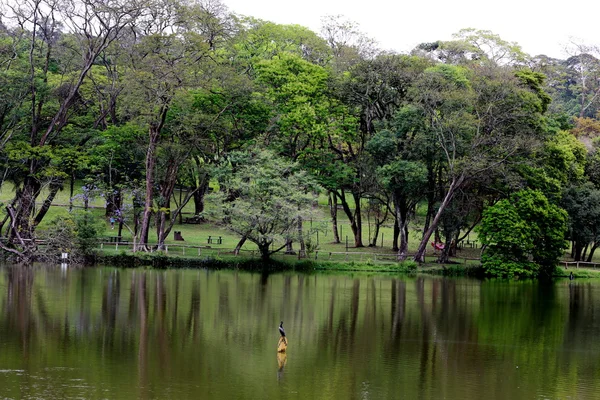 Lake Park carmo sao paulo Brazília — Stock Fotó