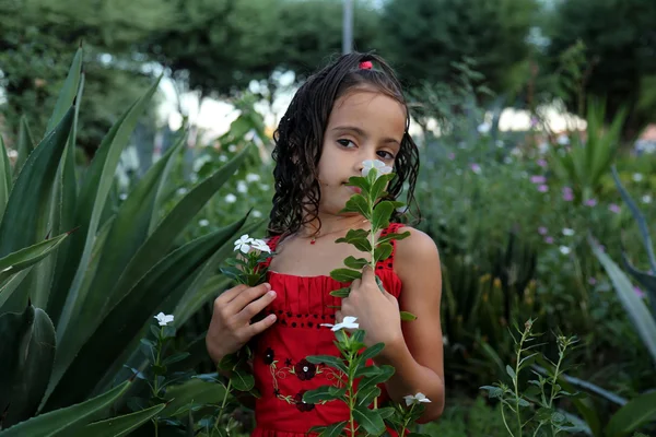 Κορίτσι από τη Βραζιλία μυρίζοντας ένα λουλούδι — Φωτογραφία Αρχείου