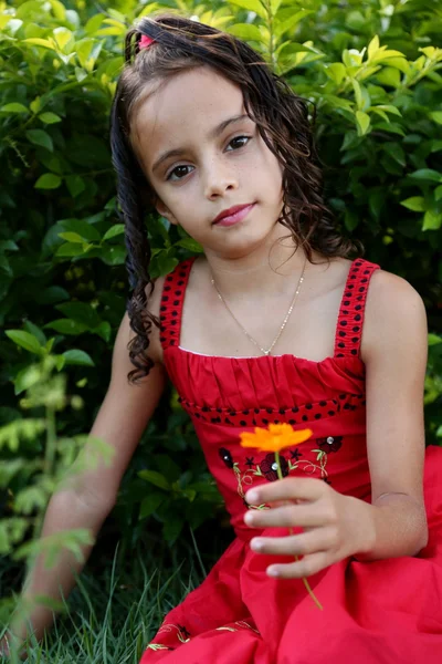 Brazilian girl holding a flower — Stock Photo, Image