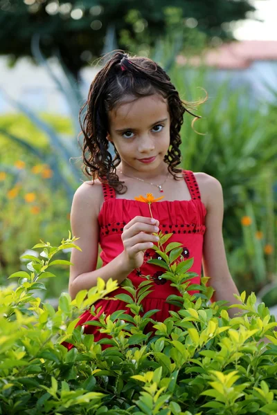 Brazilian girl holding a flower — Stock Photo, Image