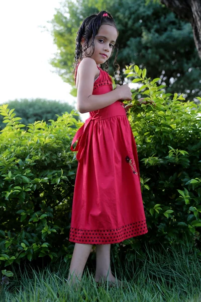 Beautiful girl in the garden — Stock Photo, Image