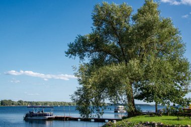 Nehrin kıyısındaki büyük söğüt ağacı