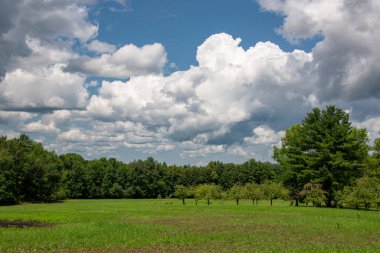 Adirondacks 'ta yaz sahnesi bulutlu havada 