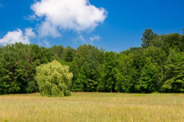 Adirondacks 'da yaz sahnesi
