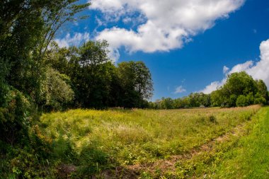 Adirondacks 'da yaz sahnesi