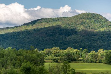 Adirondack Dağları 'nın kalbinde yaz sahnesi