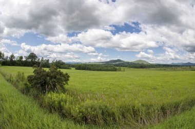 Adirondack Dağları 'nın kalbinde yaz sahnesi