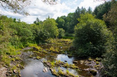 Quebec 'teki Pike Nehri' nin yaz manzarası 