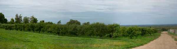 Vista Panoramica Meleto Cima Covey Hill Nel Quebec Meridionale — Foto Stock