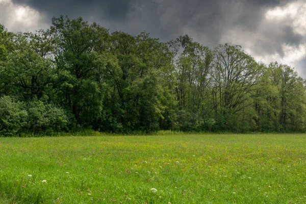 Scena Estiva Negli Adirondack Sotto Cieli Tempestosi — Foto Stock