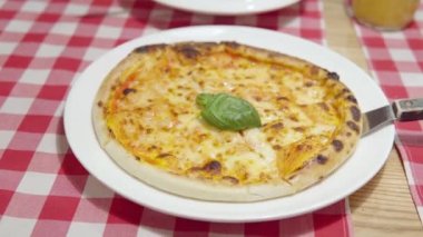 Domates soslu İtalyan pizzası ve fırından yeni çıkmış mozzarella peyniri..