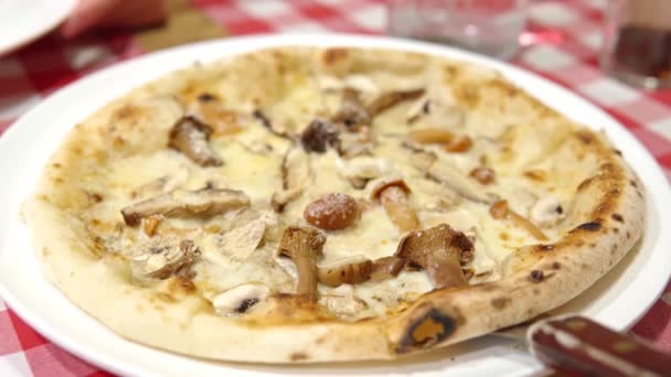 Pizza apetecible con queso parmesano y diferentes setas. — Vídeos de Stock