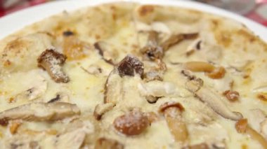Mantarlı pizzaya yakın çekim. Trompet mantarı, mantar, şampiyon ve peynirli..