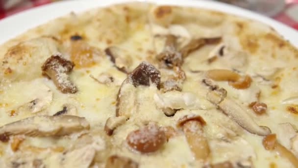 Primer plano de la pizza de setas con champiñones trompeta, rebozuelos, champiñones y queso. — Vídeos de Stock