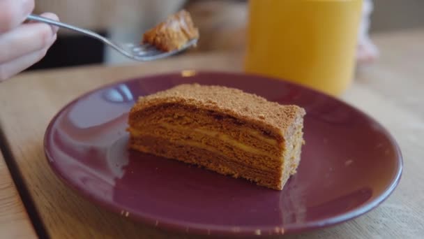 Una ragazza in un caffè mangia una fetta di torta al miele stratificata dolce tradizionale russo chiamato anche medovik. — Video Stock