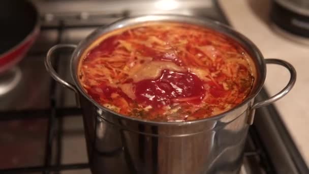 Borsch - -乌克兰文化的象征和主菜，在炉子上煮沸. — 图库视频影像