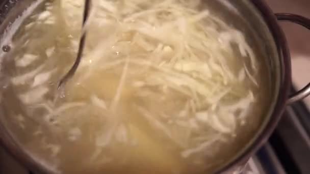 做罗宋汤的过程将配料、切碎的卷心菜和豆子混合在一个框架内. — 图库视频影像