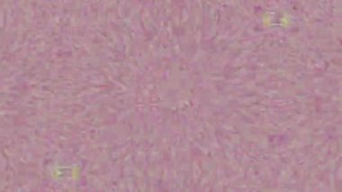 Yüksek teknolojili canlı kaleydoskopik arka plan. Dinamik elementler dekoratif görüntüler. 