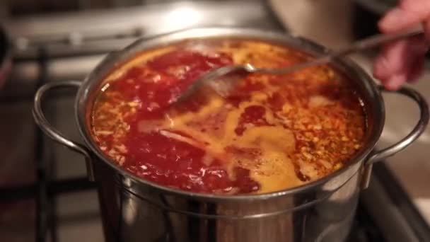用甜菜制成的自制开胃美味的罗宋汤. — 图库视频影像