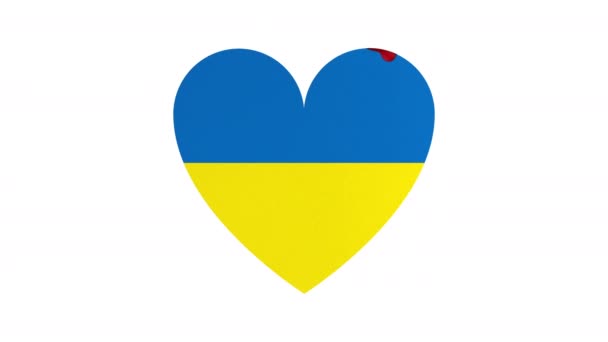 Animação da bandeira da Ucrânia na forma de um coração batendo em sangue vermelho em um fundo branco. — Vídeo de Stock