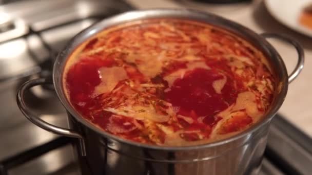 Oekraïense rode soep borsch - smakelijke soep met tomatenpuree, aardappel, specerijen kool en biet. — Stockvideo