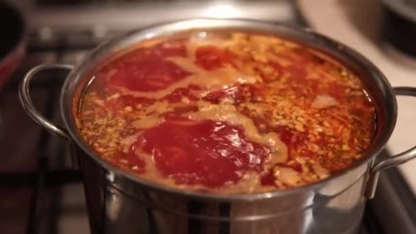 Close-up de um borsch ucraniano vermelho - prato saboroso feito com verduras e carne fervendo em um fogão. — Vídeo de Stock