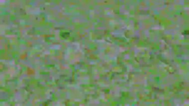 Neon siberpunk zarif yanardöner arkaplanı dönüştürüyor. 