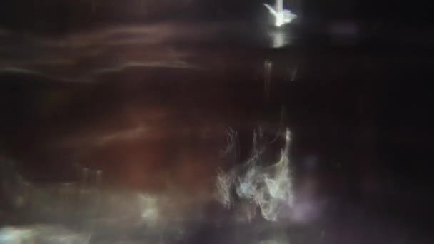 Abstract holografische lichtlekken, jaren 80 retro stemming voor uw project. — Stockvideo