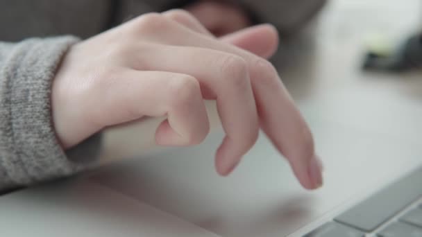 백인 여자들의 손 은현 대노트북의 추적 패드를 사용 한다. — 비디오