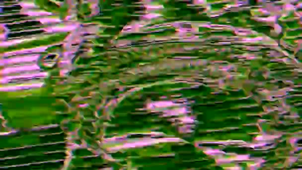 Abstract psychedelische knipperende sci-fi iriserende achtergrond. — Stockvideo