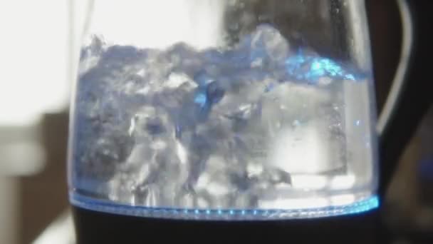 Il processo di bollitura dell'acqua in un moderno bollitore elettrico, — Video Stock