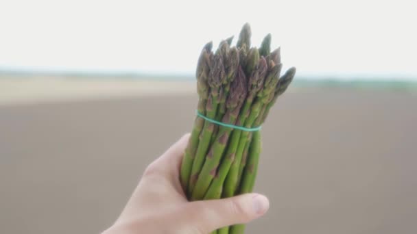 Zöld Spárga Háttérben Közelről Friss Ízletes Organikus Spárga Egészséges Étel — Stock videók