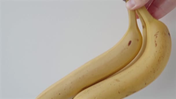 Mão Segura Sujeira Bananas Amarelas Maduras Fundo Branco Close Filmagem — Vídeo de Stock