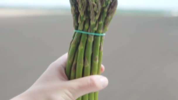 Asparagi Verdi Sfondo Bianco Colpo Scorrevole Asparagi Biologici Freschi Gustosi — Video Stock