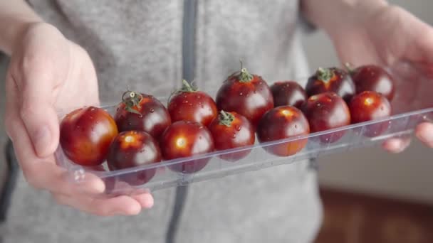 Tomates Coquetel Pretos Maduros Suculentos Uma Caixa Plástico Nas Mãos — Vídeo de Stock