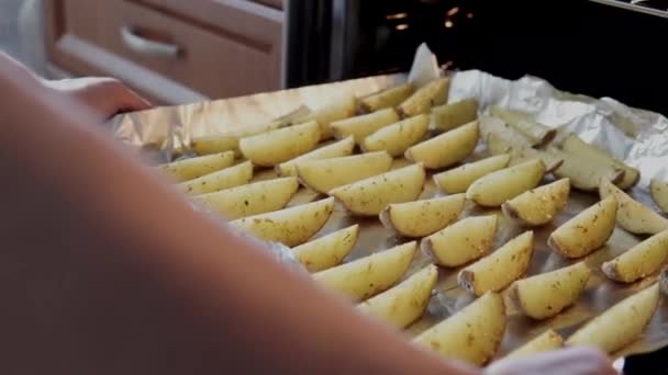 Frau Legt Ein Backblech Mit Rustikalen Kartoffelkeilen Den Ofen Gimbal — Stockvideo