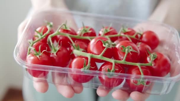 Soukromý Zemědělec Ukazuje Zralá Červená Cherry Rajčata Pěstovaná Plantáži Pro — Stock video