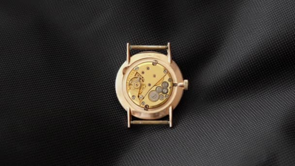 Mechanizm Obserwacyjny Zegar Klejnotami Zbliżenie Vintage Luksusowych Zegarmistrzów Rzemiosła Ekspertyza — Wideo stockowe