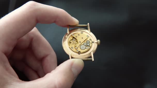 Zegarmistrz Pokazuje Mechanizm Zegarka Klejnotami Zbliżenie Vintage Luksusowych Zegarmistrzów Rzemiosła — Wideo stockowe