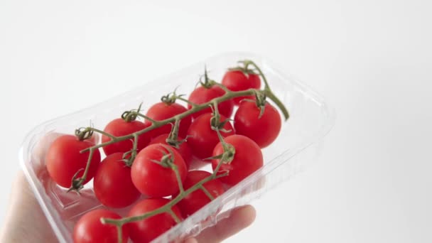 Branche Avec Beaucoup Tomates Cerises Sur Plantation Biologique Vue Rapprochée — Video