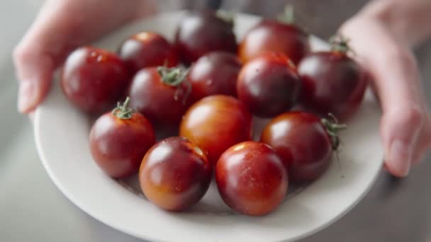 Retail Business Rijpe Zwarte Tomaten Een Bord Handen Van Een — Stockvideo