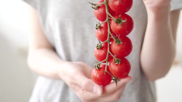 Een Vrouw Houdt Een Tak Van Rijpe Cocktail Biologische Tomaten — Stockvideo
