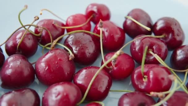 Lot Juicy Cherries Grown Organic Farm Blue Plate Healthy Food — Video