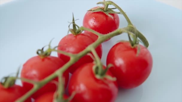 Mavi Bir Tabakta Organik Tarlalardan Yetişen Bir Sürü Kiraz Domatesi — Stok video