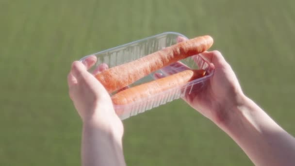 Ripe Carrots Hands Successful Farmer Harvested Supermarket Warehouse Close Plastic — Stock Video