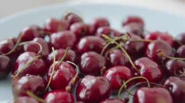 Mavi bir tabakta taze kirazların yakın görüntüsü. Taze bahar meyveleri, çiftlik hasadı. 4k görüntü.