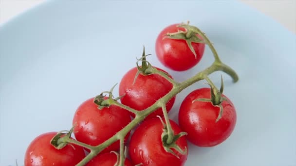 Branch Fresh Red Cherry Organic Tomatoes Plate Top View Close — Stock Video