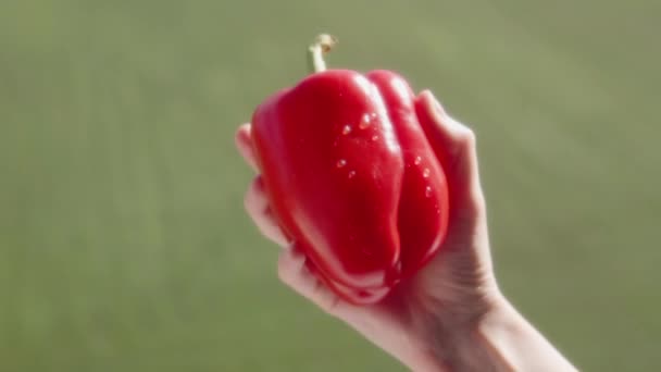 Frau Zeigt Große Rote Paprika Auf Verschwommenem Hintergrund Einer Grünen — Stockvideo