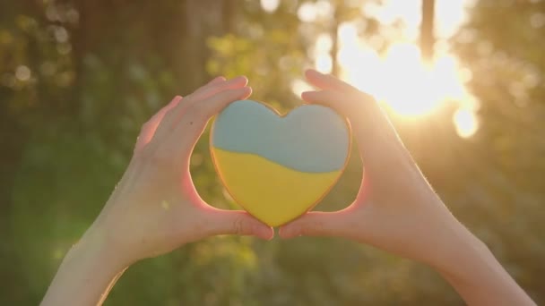 Gingerbread Shape Heart Symbol Ukraine Womans Hands Background Evening Forest — ストック動画